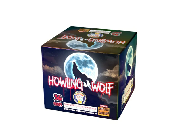 その他 PSA10A Whole New World Foil PSA10A Whole New World Foil