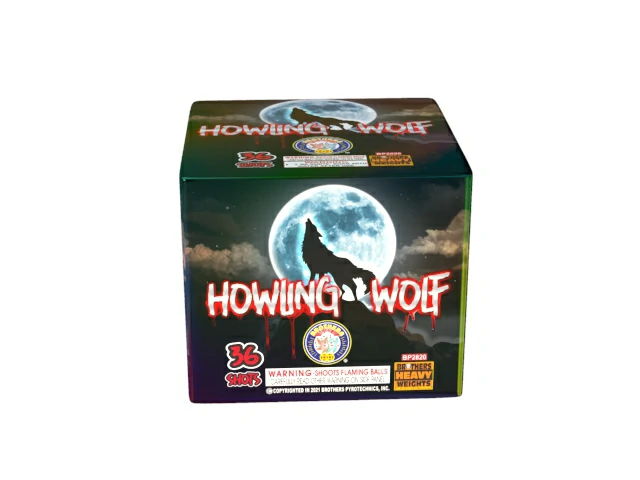 その他 PSA10A Whole New World Foil PSA10A Whole New World Foil